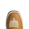 Bota wild west