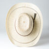 sombrero cuernos chuecos, tigger
