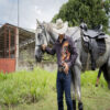 CAMISA CABALLO EN COSTADO CAFÉ WILD WEST CABALLERO