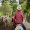 CAMISA CUADROS ROJOS WILD WEST CABALLERO