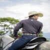 CAMISA CABALLO EN COSTADO CAFÉ WILD WEST CABALLERO